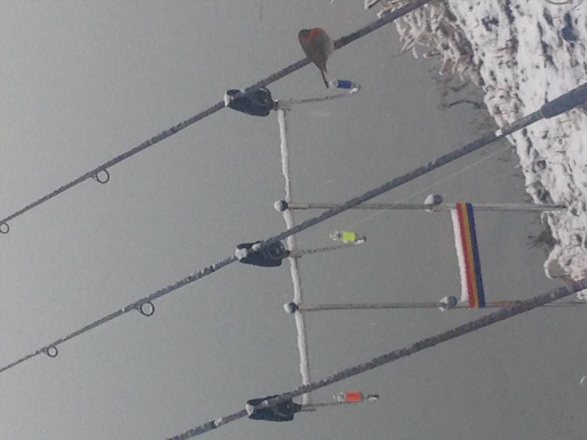 ISOLA DEL PESCATORE 10 ianuarie 2017 - img4408.JPG